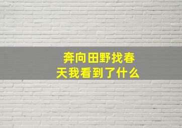 奔向田野找春天我看到了什么