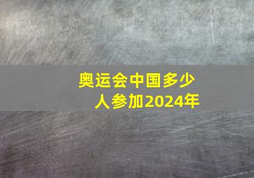 奥运会中国多少人参加2024年