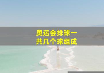 奥运会排球一共几个球组成