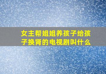 女主帮姐姐养孩子给孩子换肾的电视剧叫什么