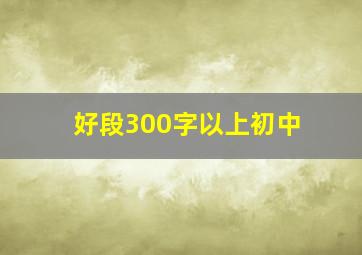 好段300字以上初中