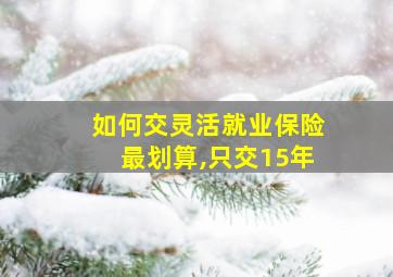 如何交灵活就业保险最划算,只交15年