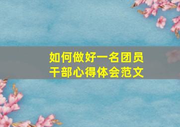 如何做好一名团员干部心得体会范文