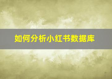 如何分析小红书数据库