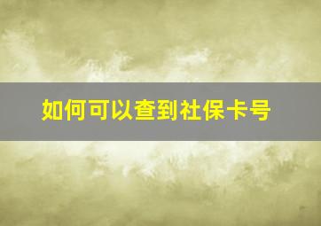 如何可以查到社保卡号