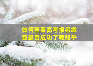 如何查看高考报名缴费是否成功了呢知乎