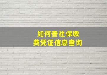 如何查社保缴费凭证信息查询