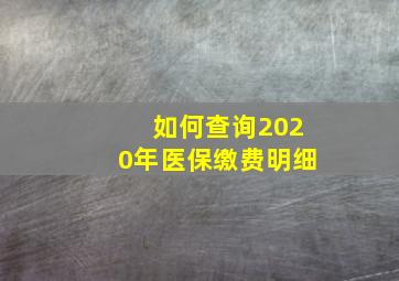 如何查询2020年医保缴费明细