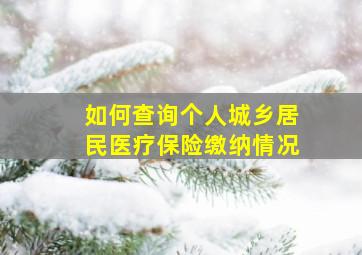 如何查询个人城乡居民医疗保险缴纳情况