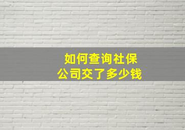 如何查询社保公司交了多少钱