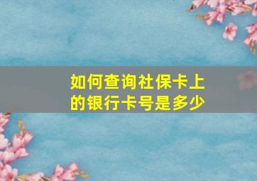 如何查询社保卡上的银行卡号是多少