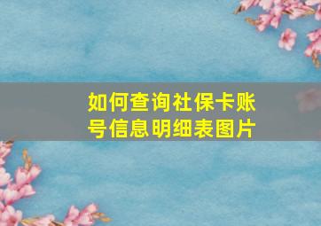 如何查询社保卡账号信息明细表图片