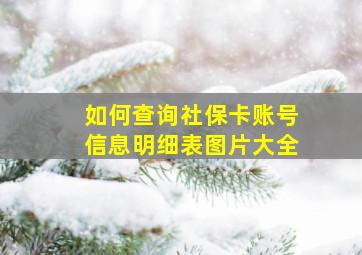 如何查询社保卡账号信息明细表图片大全