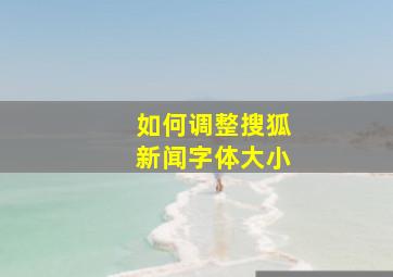 如何调整搜狐新闻字体大小