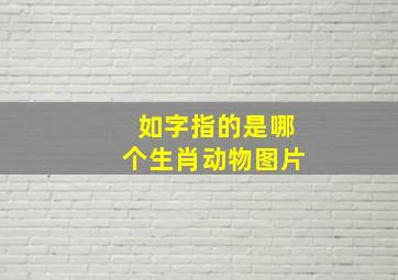 如字指的是哪个生肖动物图片