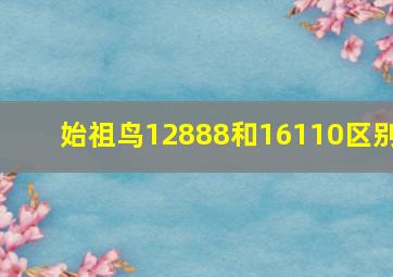 始祖鸟12888和16110区别