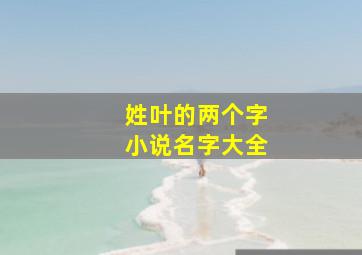 姓叶的两个字小说名字大全