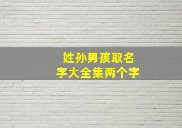 姓孙男孩取名字大全集两个字