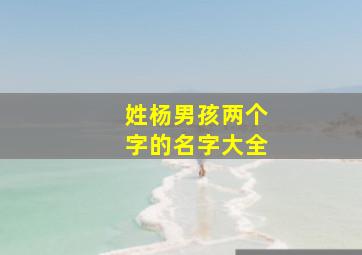 姓杨男孩两个字的名字大全