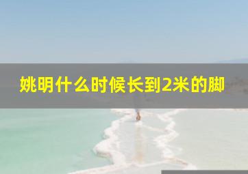 姚明什么时候长到2米的脚