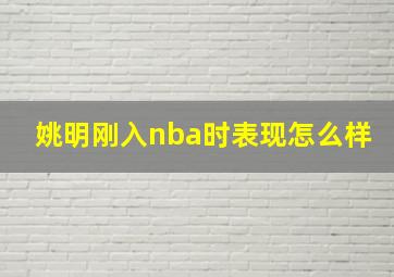 姚明刚入nba时表现怎么样