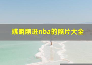 姚明刚进nba的照片大全