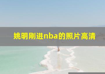 姚明刚进nba的照片高清