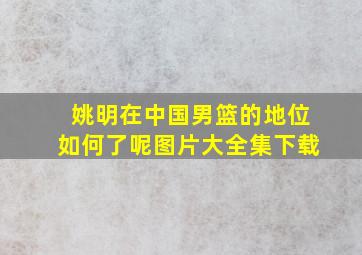 姚明在中国男篮的地位如何了呢图片大全集下载