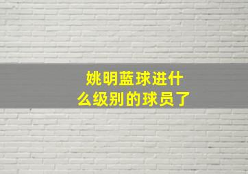 姚明蓝球进什么级别的球员了