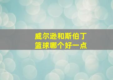 威尔逊和斯伯丁篮球哪个好一点