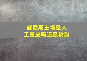 威尼斯主场是人工草皮吗还是树脂