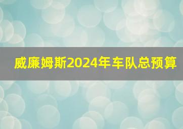 威廉姆斯2024年车队总预算