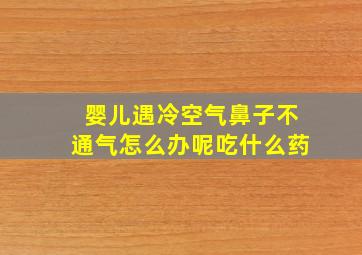 婴儿遇冷空气鼻子不通气怎么办呢吃什么药