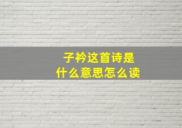 子衿这首诗是什么意思怎么读