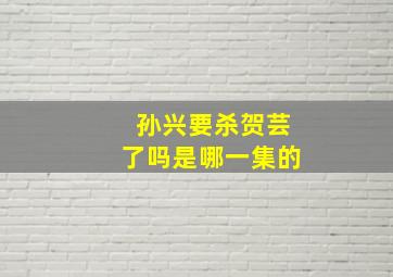 孙兴要杀贺芸了吗是哪一集的