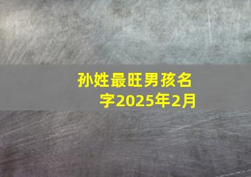 孙姓最旺男孩名字2025年2月