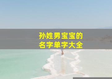 孙姓男宝宝的名字单字大全