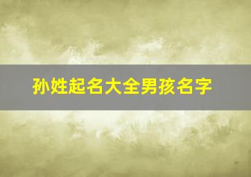 孙姓起名大全男孩名字