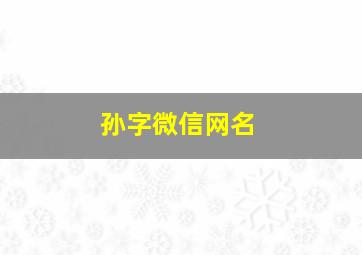 孙字微信网名