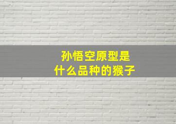 孙悟空原型是什么品种的猴子