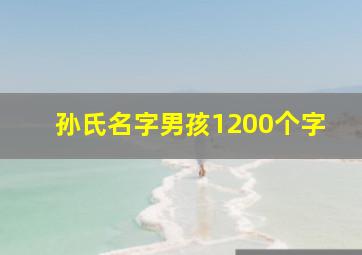 孙氏名字男孩1200个字