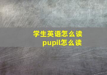 学生英语怎么读pupil怎么读