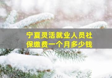 宁夏灵活就业人员社保缴费一个月多少钱