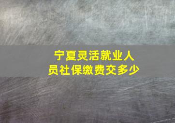 宁夏灵活就业人员社保缴费交多少