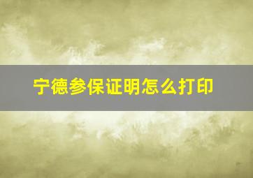 宁德参保证明怎么打印