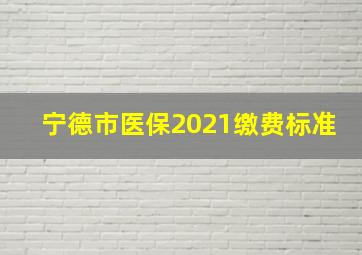 宁德市医保2021缴费标准