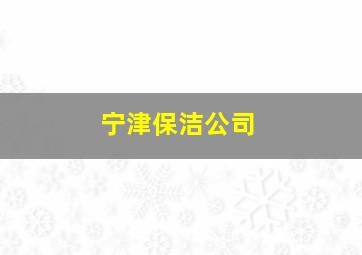 宁津保洁公司