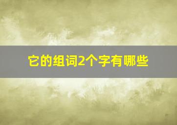 它的组词2个字有哪些