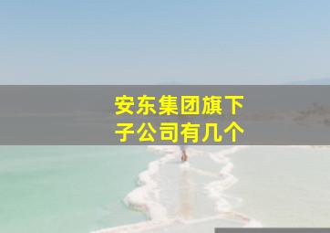 安东集团旗下子公司有几个