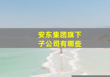 安东集团旗下子公司有哪些